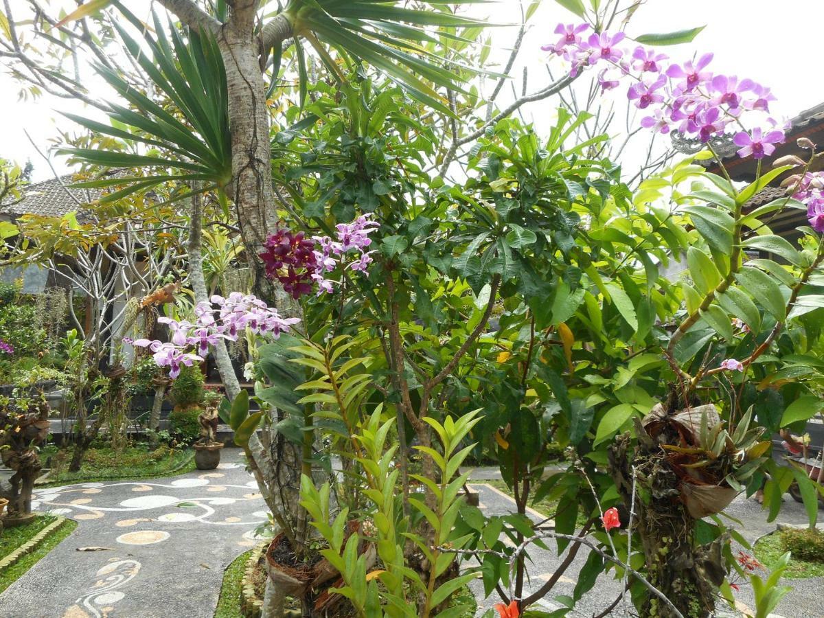 Milla Homestay Sidemen  Exterior foto